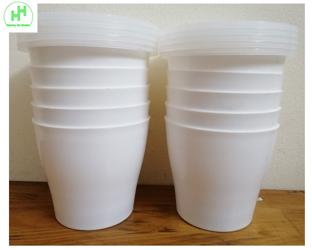 Combo 10 chậu trồng thủy sinh td145 và 10 rọ thủy canh ts-7