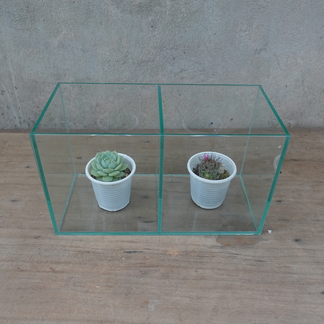 Bể cá Betta 2 ngăn kích thước 26x12x15 cm, thành bể đã được mài nhẵn