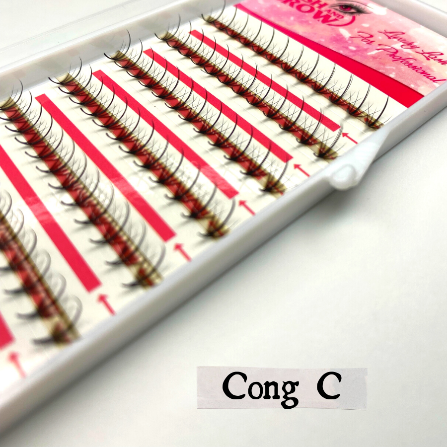 Lông mi Trụ Katun - Mi fan sẵn Wispy 5D 007 độ cong C - nối mi Thiết Kế - Hani Beauty