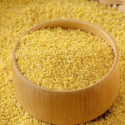 1KG Hạt kê vàng tách vỏ, Hạt kê nếp vàng dẻo, Hạt kê cho bé ăn dặm - chứa protein, khoáng chất , vitamin và chất xơ - Tăng cường sức đề kháng, tăng cường trí nhớ, giảm quá trình lão hóa    Nongsantinphat