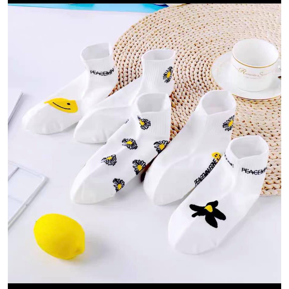 Sét 10 đôi tất hoa cúc trắng cotton