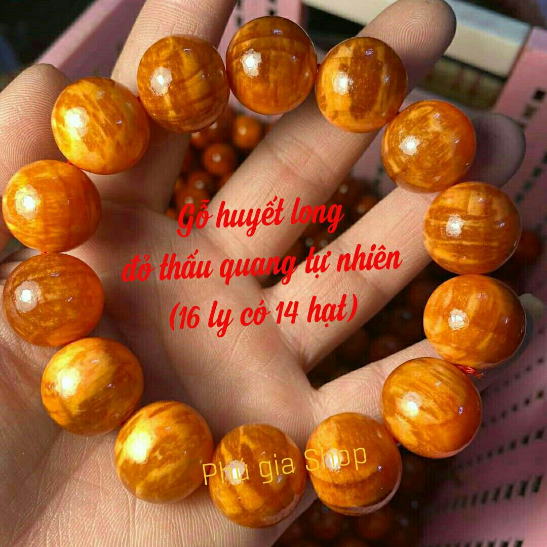 Vòng tay gỗ huyết long(hạt tròn 16 ly)đỏ thấu quang.vòng tay phong thủy huyết long tự nhiên+tặng dây dự phòng và hộp đựng cao cấp