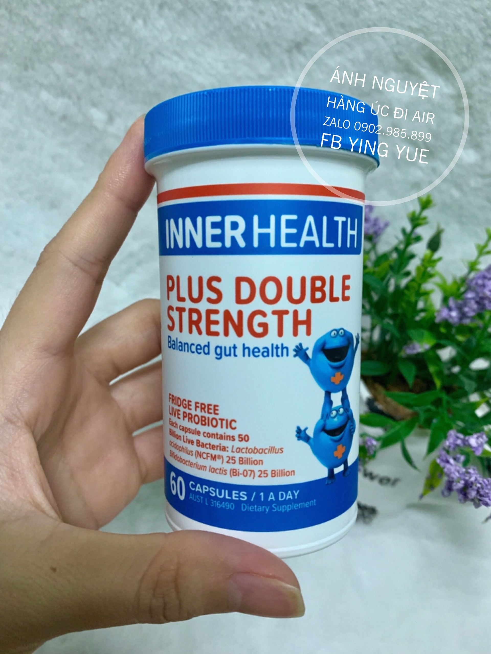 Men Vi Sinh Cho Người Lớn Inner Health Plus Double Strength Probiotic 60 Capsules - Hàng Úc
