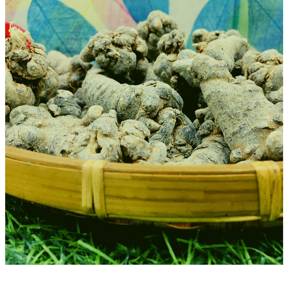 Củ tam thất Hà Giang 100g hàng chuẩn lâu năm