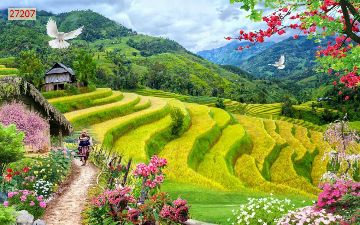Tranh dán tường phong cảnh ruộng bậc thang 3D in trên chất liệu lụa cao cấp