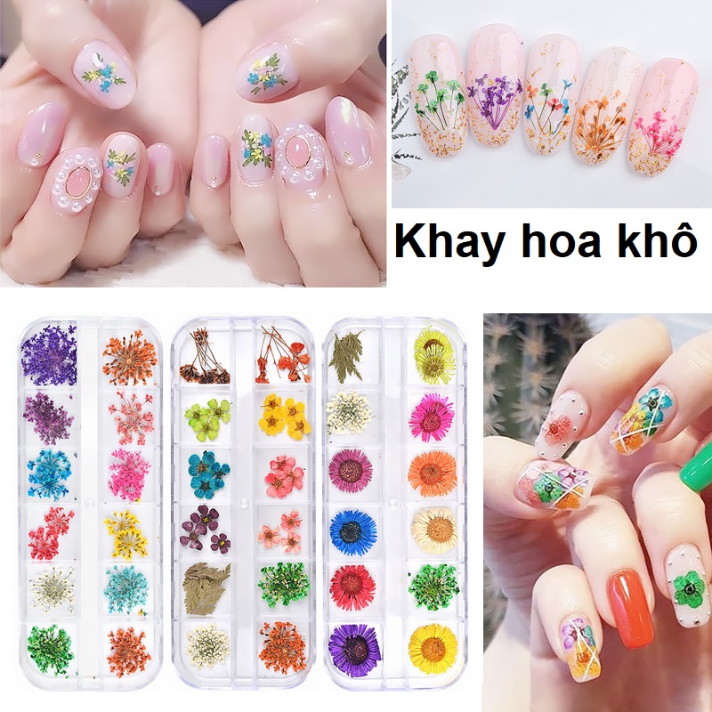 Khay hoa khô trang trí móng