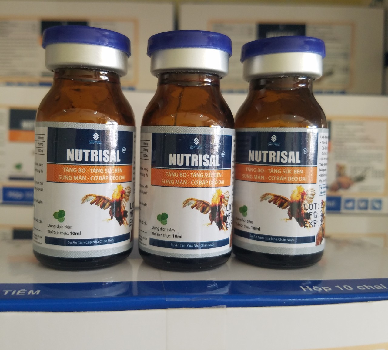 Tăng bo gà - nutrisal uv- combo 3 chai 10 ml