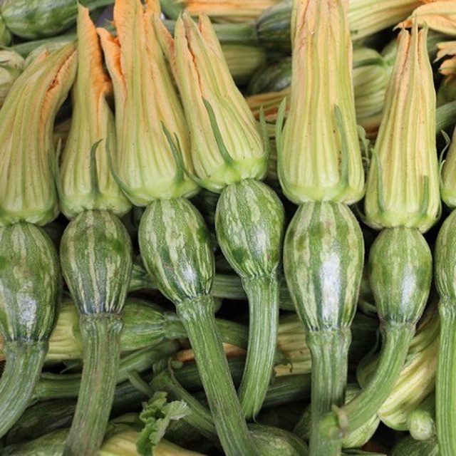 Hạt giống bí siêu nụ - bí ăn nụ 10gr