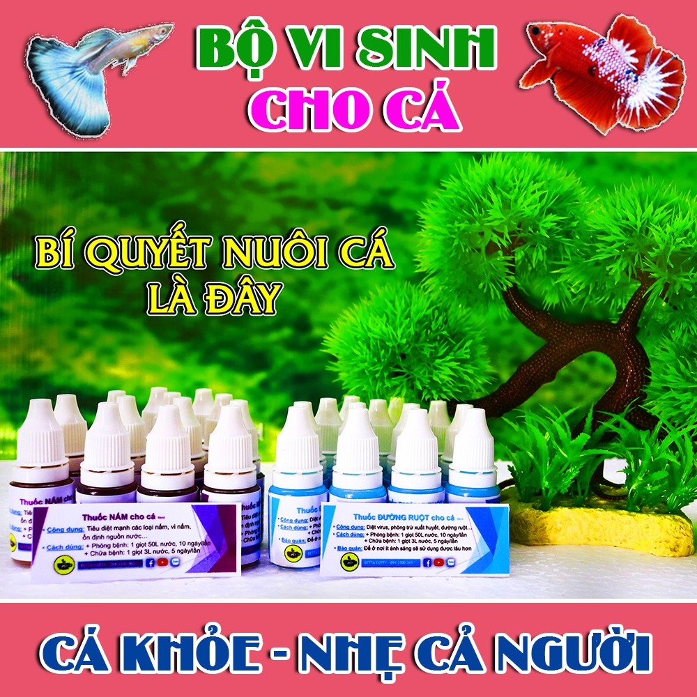 Vi Sinh - Đường Ruột Nấm cho hồ cá nhỏ betta guppy