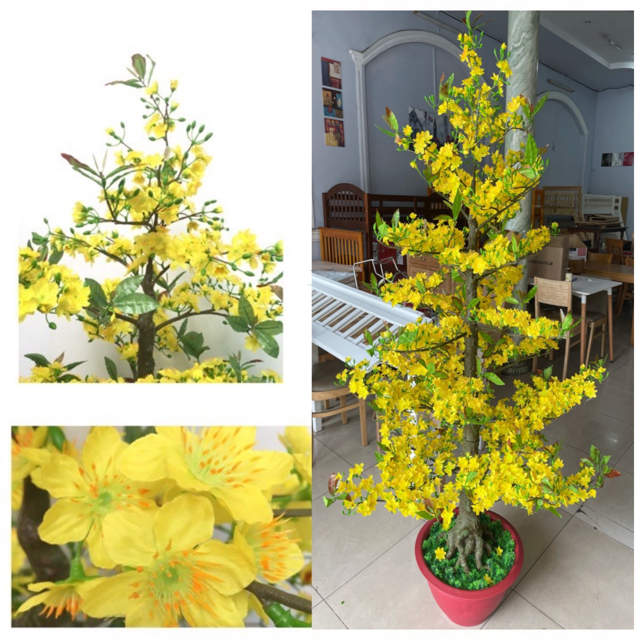 [HCM]Chậu Hoa Mai Giả Thân Thẳng Cao 1m75-Hàng Đẹp Loại 1