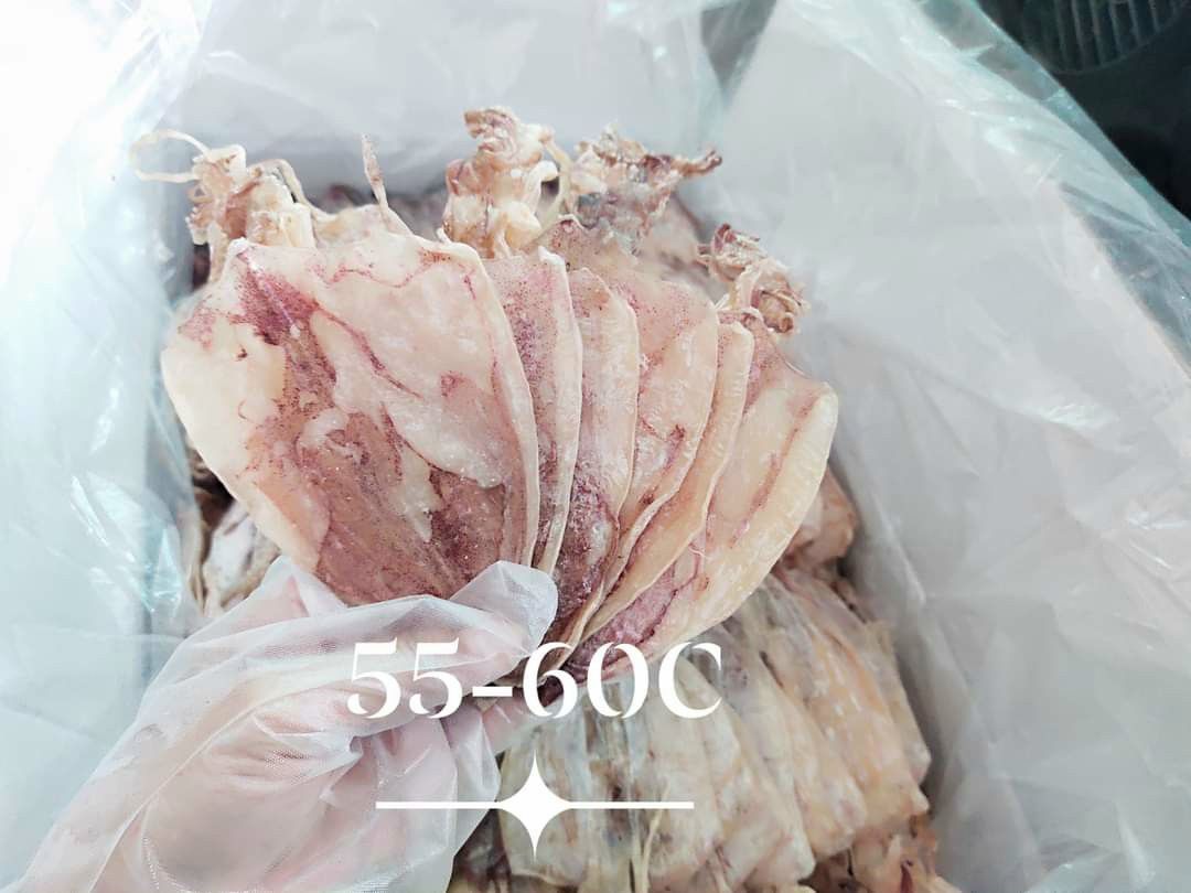1kg mực size 60-70c mới lên hàng đẹp xuất sắc