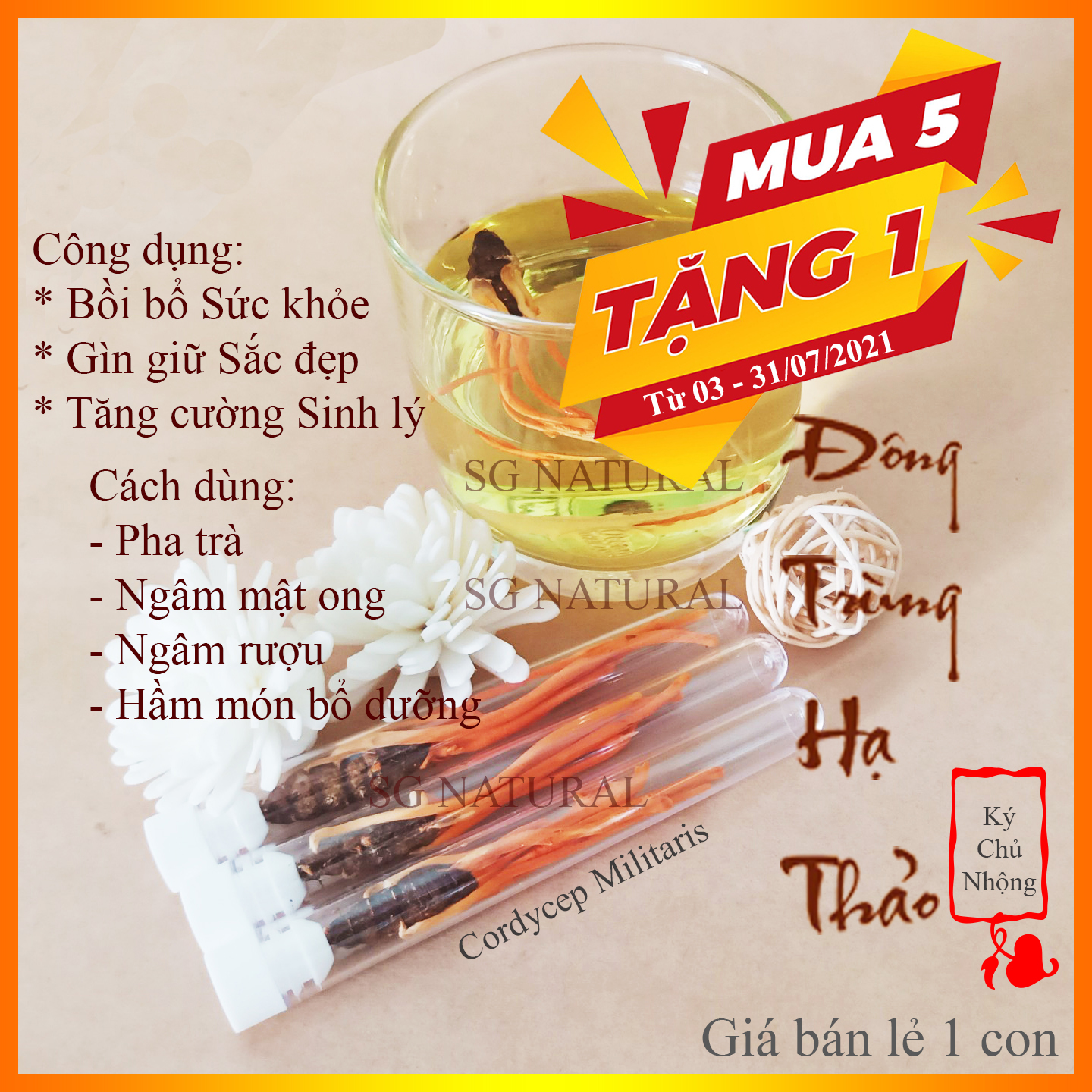 [HCM]Đông trùng hạ thảo kí chủ nhộng sấy thăng hoa - Gía lẻ một con