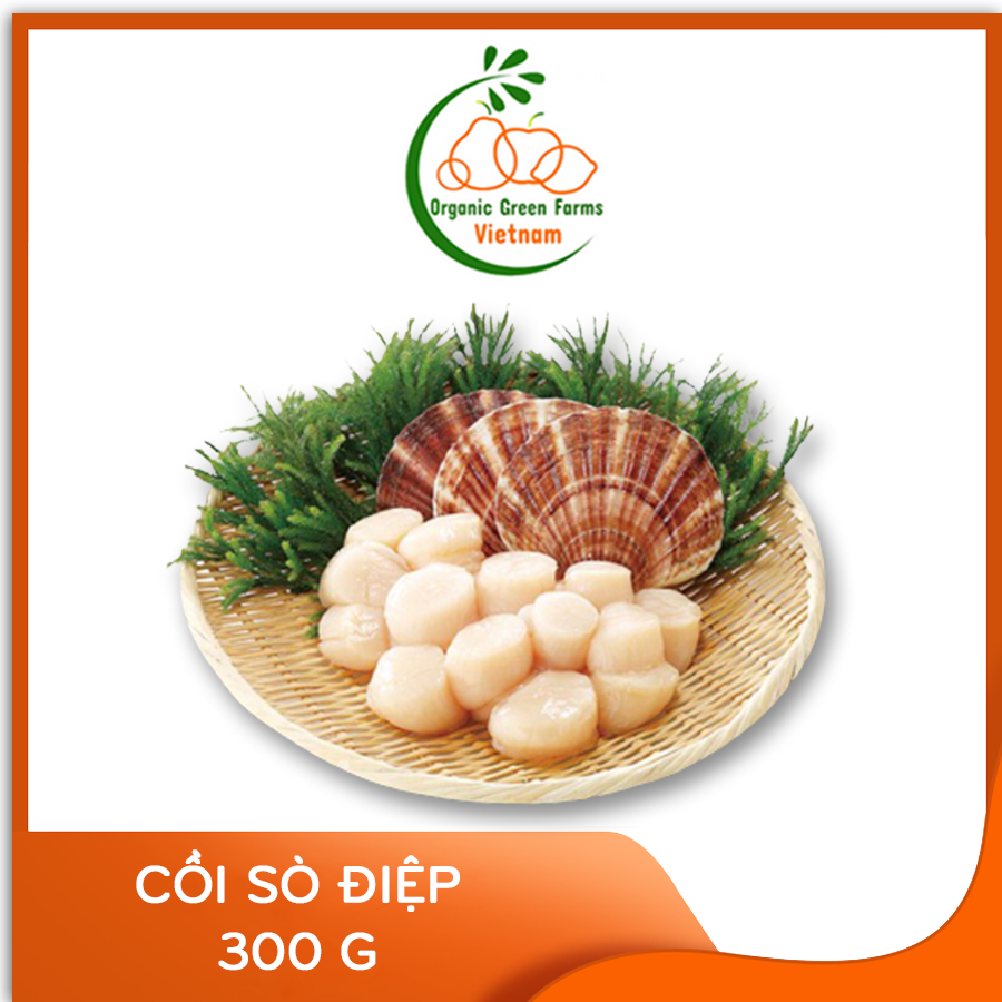 [OGF] - Cồi sò điệp thịt (300g) - Thích hợp với các món nướng, xào, nấu cháo/súp - [Giao nhanh TPHCM]
