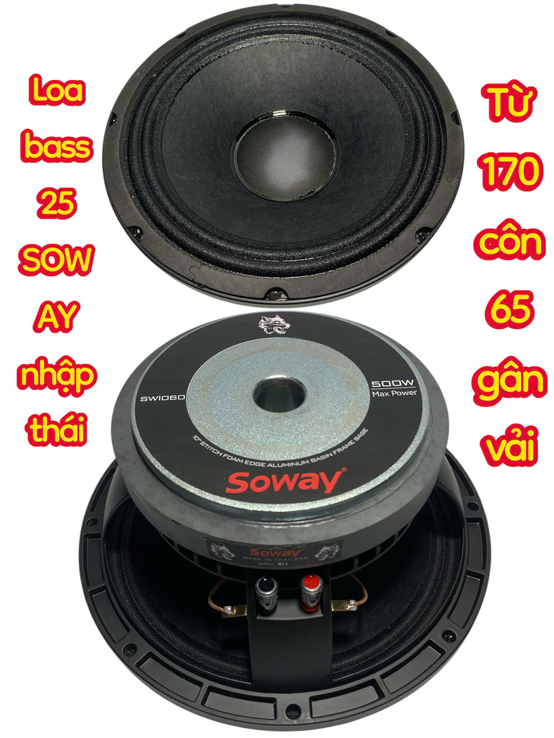Bass Speaker 25 Soway Phi 170 Taper 65 - Imported Product - Price for 1 Piece - Full Speaker 25