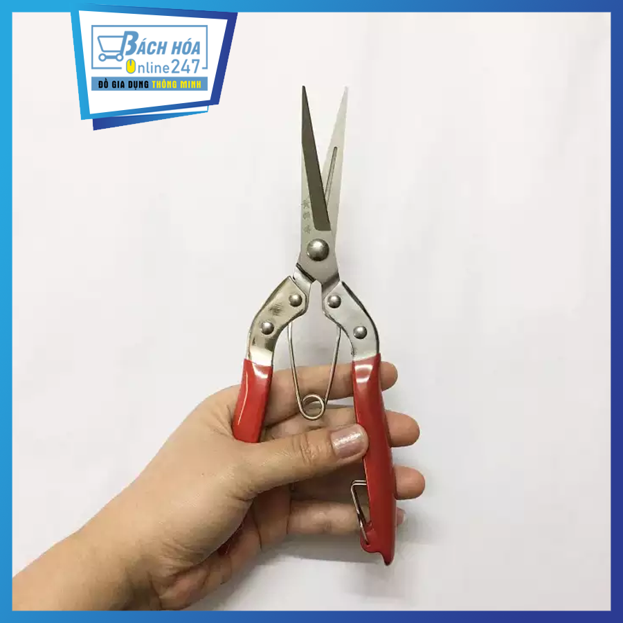 Kéo tỉa dăm mũi dài thép sk5 - kéo cắt hoa, tỉa cành cắt hoa