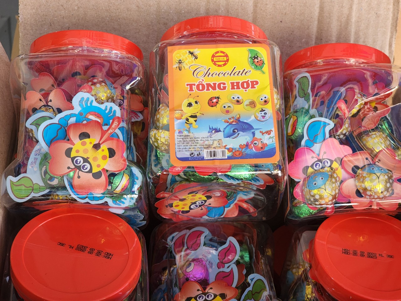 Socola hình thú hủ