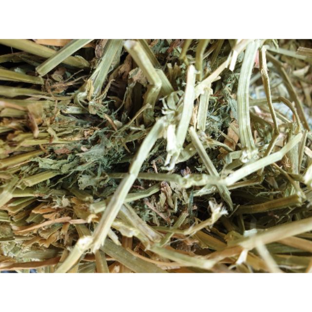 Cỏ khô Alfafa 1kg cho Thỏ , bọ , hamster