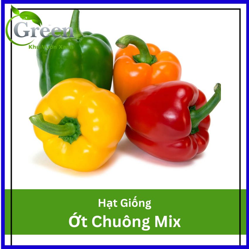 Hạt Giống Ớt Chuông (Ớt Ngọt) Nhiều Màu Mix - Gói 40 Hạt