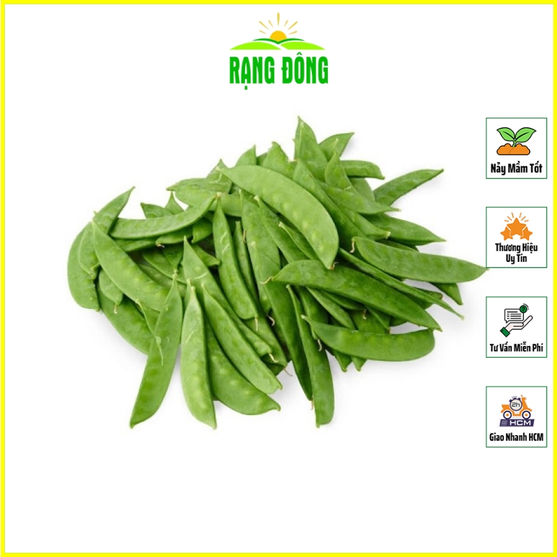 Hạt giống Đậu Hà Lan Thu TRÁI Trồng Quanh Năm, Sinh Trưởng Mạng (gói 20 gram) - Hạt Giống Rạng Đông