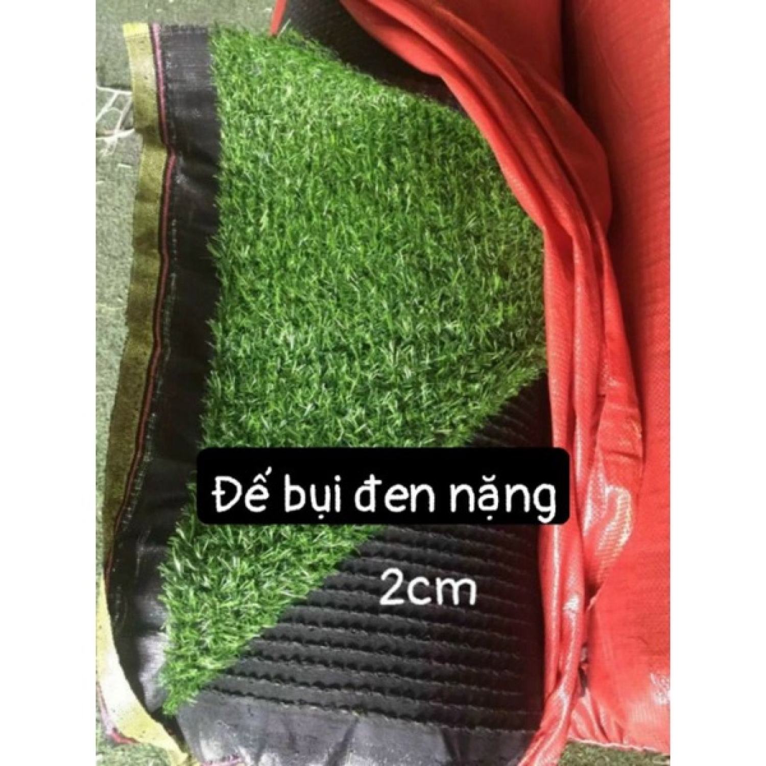 Thảm cỏ nhân tạo 2cm