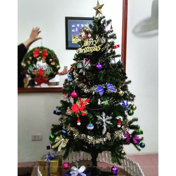 Combo cây thông noel 1m50 ( 145 phụ kiện)