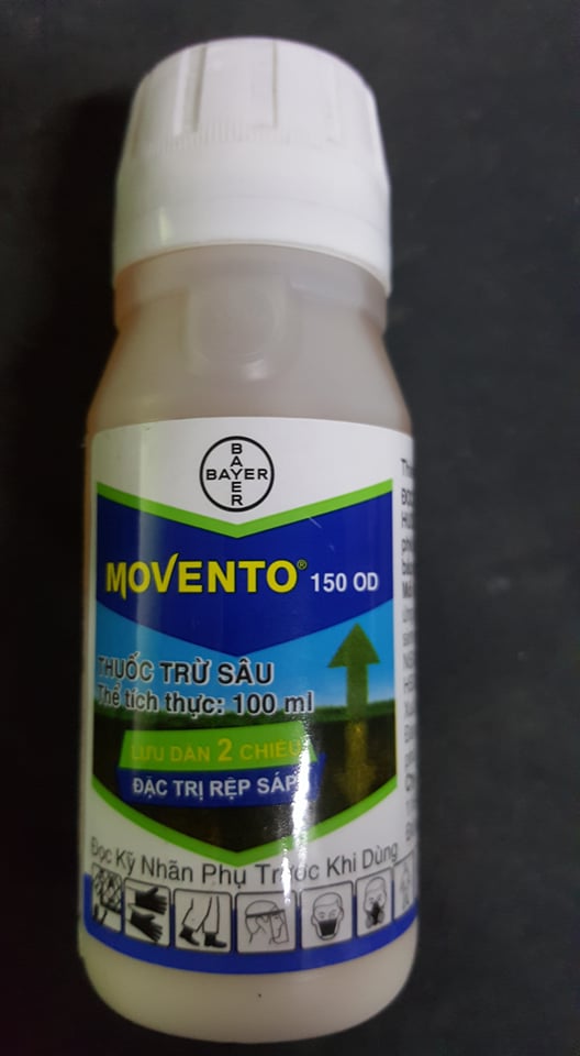 MOVENTO - THUỐC TRỪ SÂU - CHUYÊN TRỪ RỆP SÁP - CHAI 100 ML