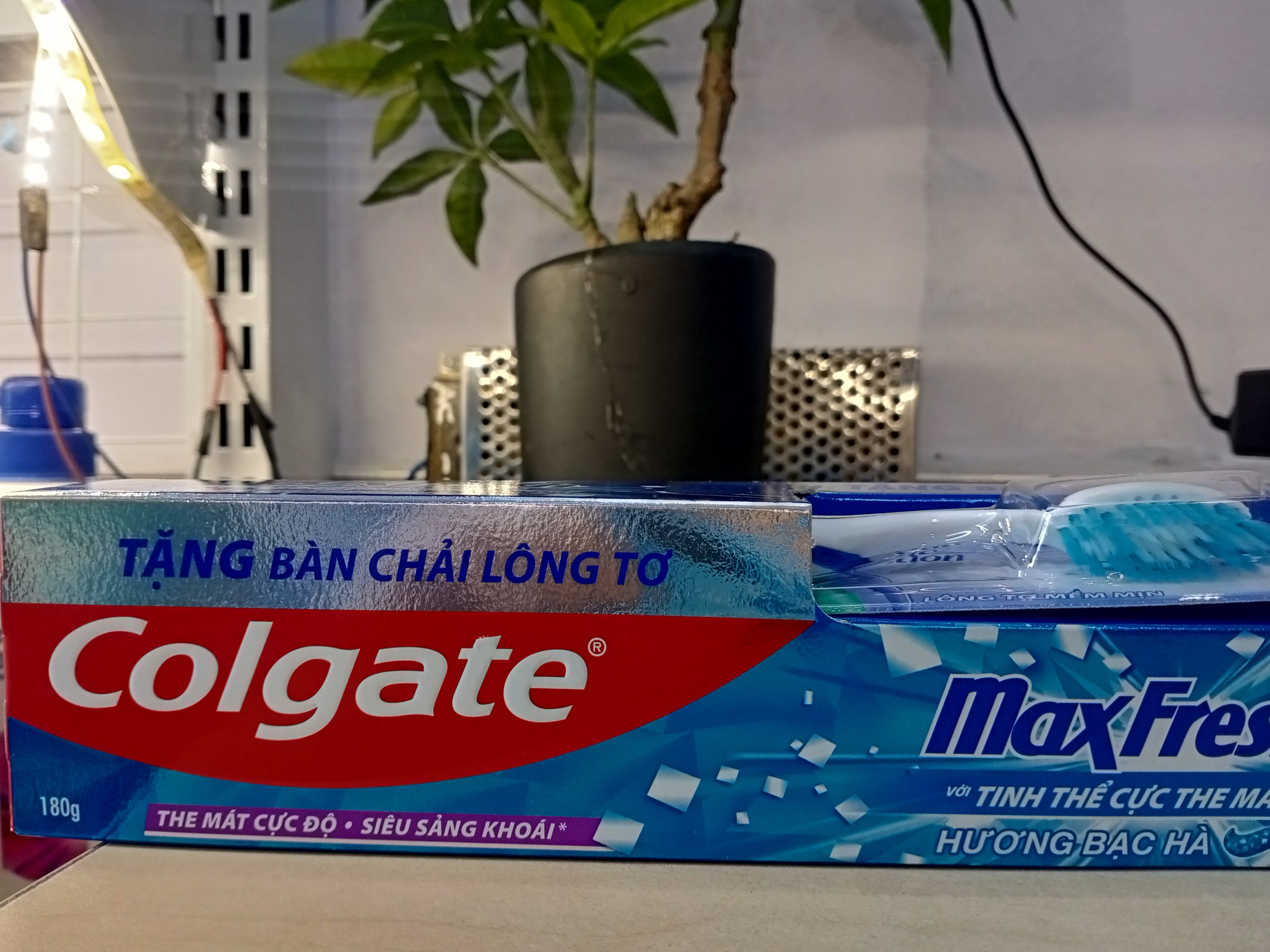 Kem đánh răng Colgate MaxFresh 180g tặng bàn chải đánh răng siêu mềm
