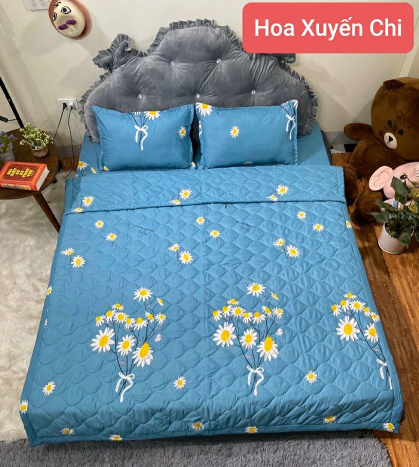 Set 3 ga gối - Bộ ga chun và 2 vỏ gối chất Cotton Poly họa tiết họa mi xanh