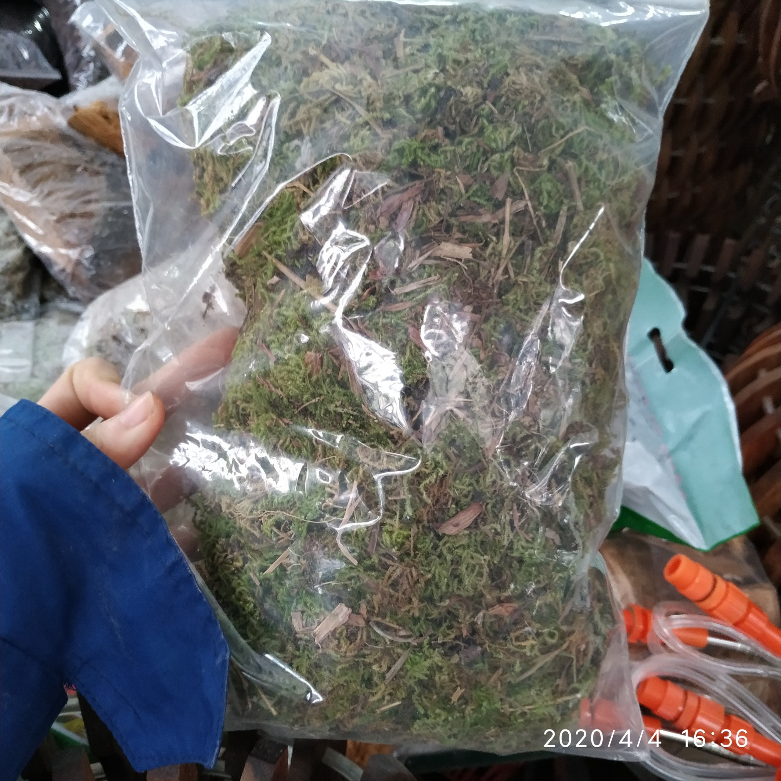 1 gói rêu rừng 200g giữ ẩm cho lan