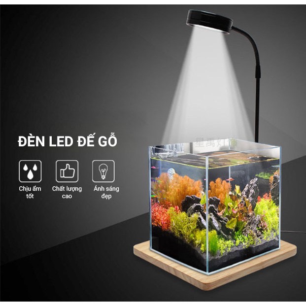 Đèn led đế gỗ bambo 3w- 5w- 7w- 9w. đèn thủy sinh. đèn tiểu cảnh,terrarium