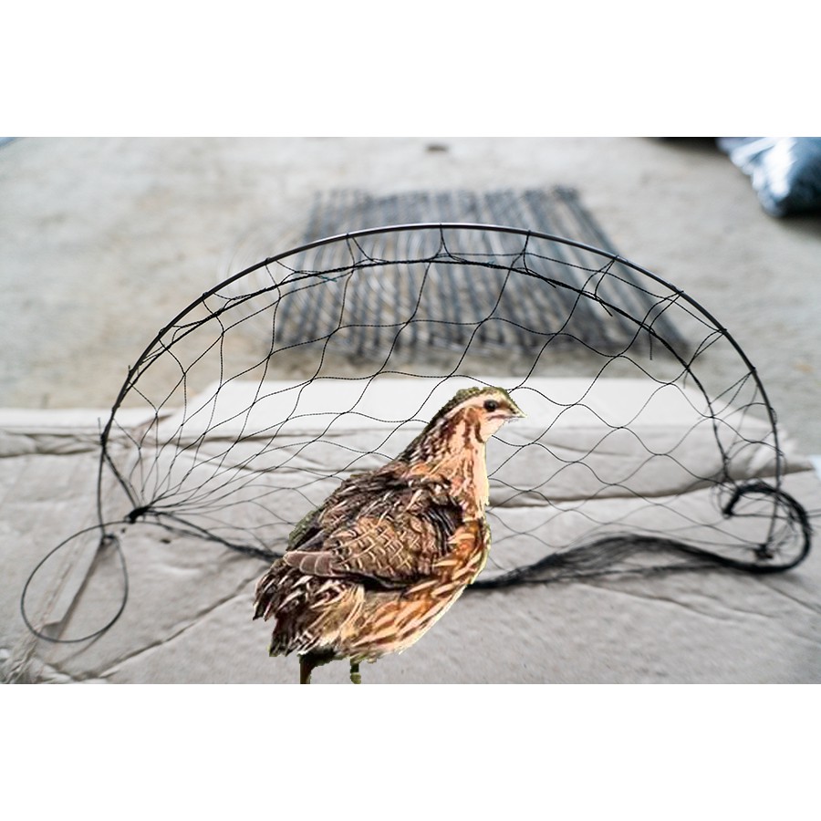 10 cung bẫy cút màu đen tầng hình