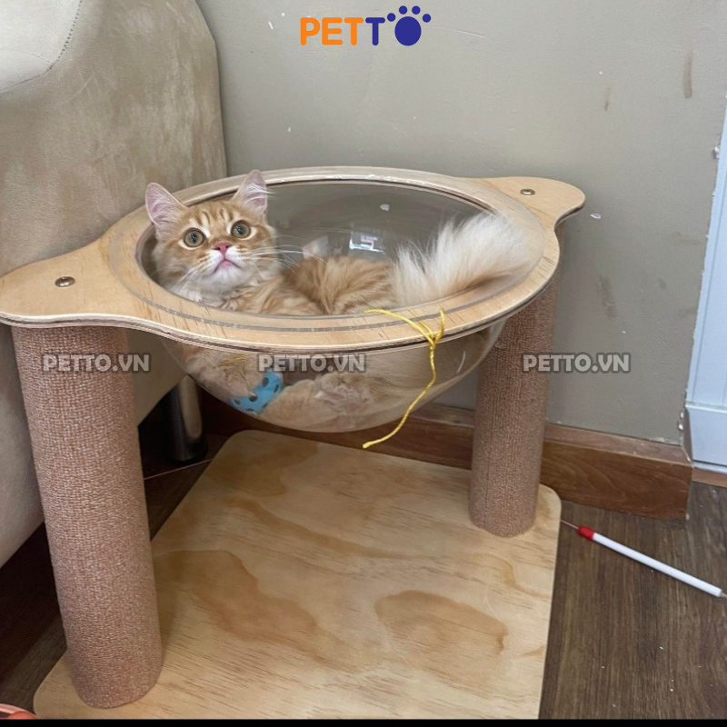 Trụ cào móng cho mèo KÈM LỒNG KÍNH và đồ chơi xịn xò giúp mèo cào móng và giảm Stress hiệu quả CT048