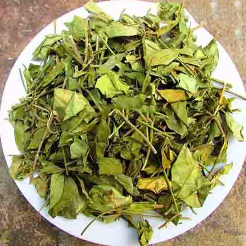 Dây thìa canh rừng sấy khô - db002