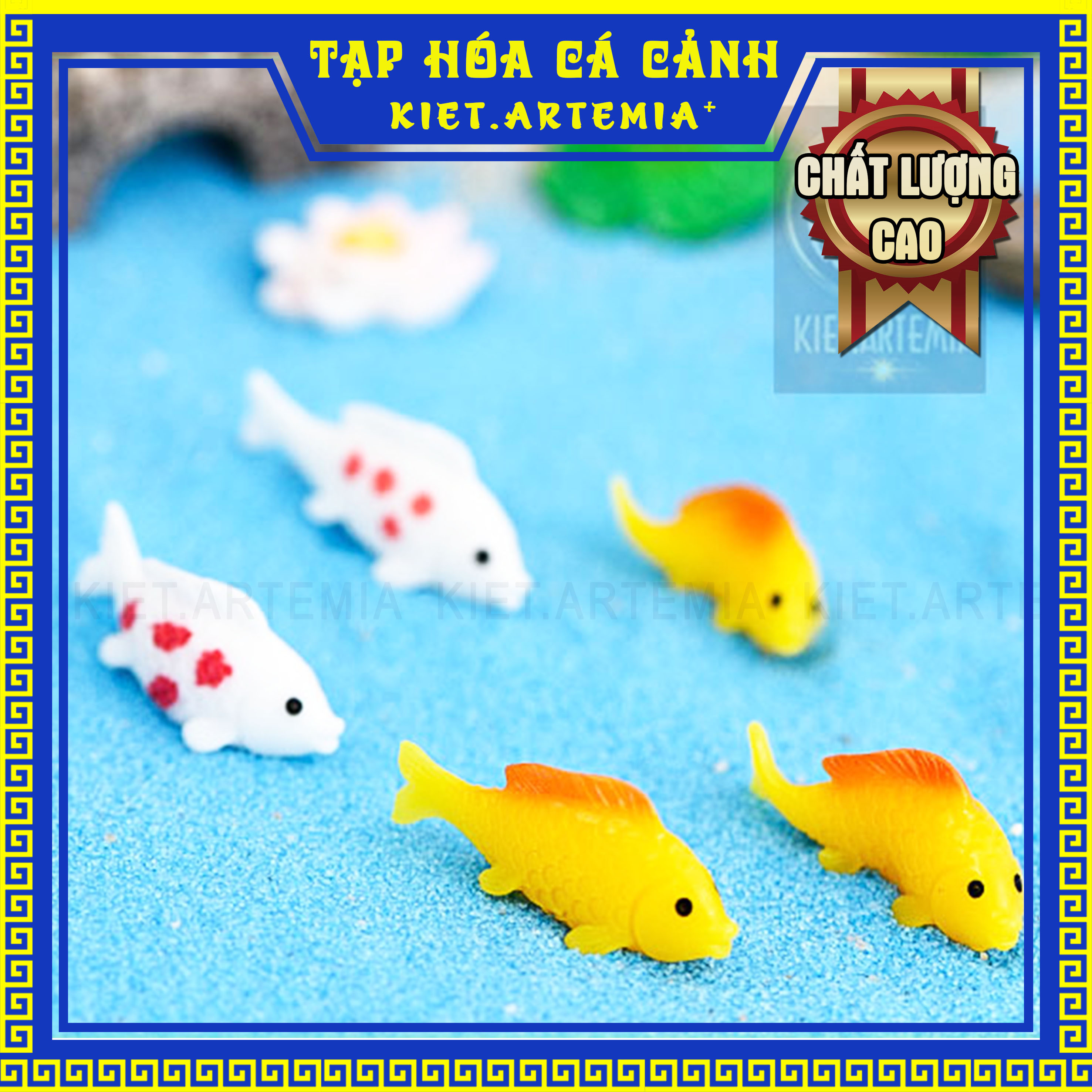 Trang trí hồ cá, tiểu cảnh cá Koi, tiểu cảnh hồ cá, sen đá, terrarium, trang trí bể cá cảnh
