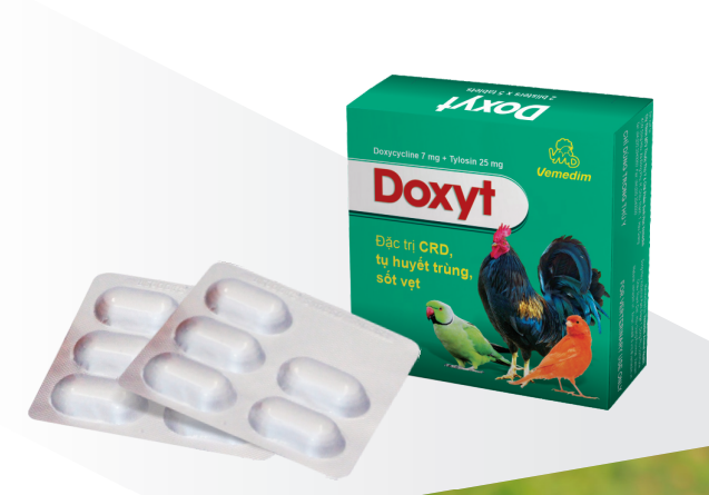 Doxyt tab, hộp 10 viên nén. Chuyên đường tiêu hóa và hô hấp gà đá, gà vịt kiểng, chim kiểng, chim cảnh, bồ câu, yến phụng, vẹt, két, chim ưng.  Avet Shop