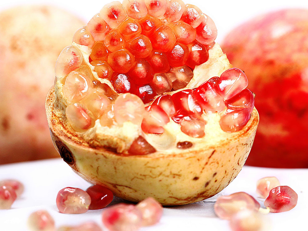 Cây lựu đỏ sẵn hoa siêu đẹp