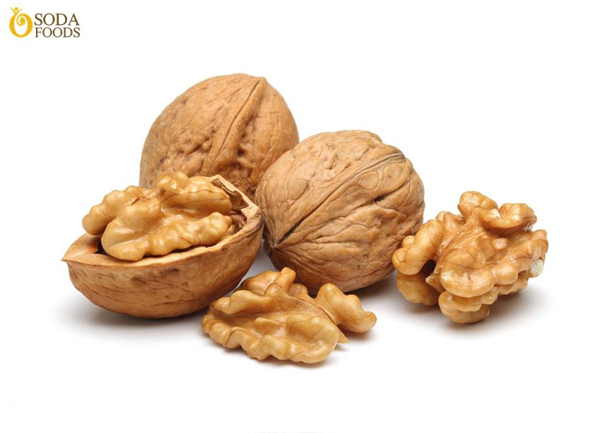 Set 2 kg óc chó Mỹ to ngon tặng 2 kìm tách hạt