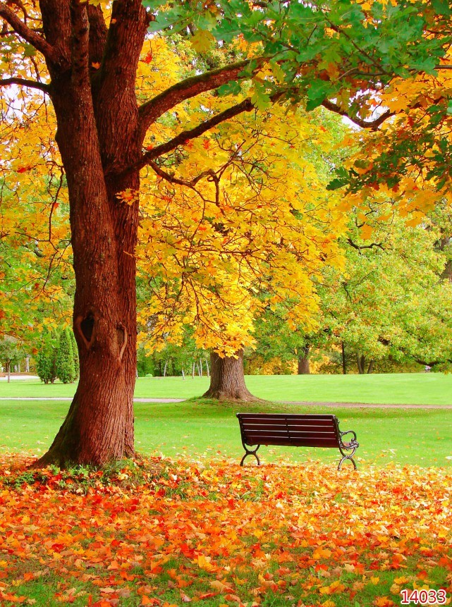 tranh dán tường 3d,tranh sơn thủy ,tranh phong cảnh ,tranh mã đáo thành công ,tranh ban thờ ,tranh hoa ,tranh đồng quê,tranh phật tranh thuận buồm xuôi gió,tranh tứ quý ,tranh thiên nga ,trang trí phòng khách ,phòng ngủ ,quán cafe,trà sữa