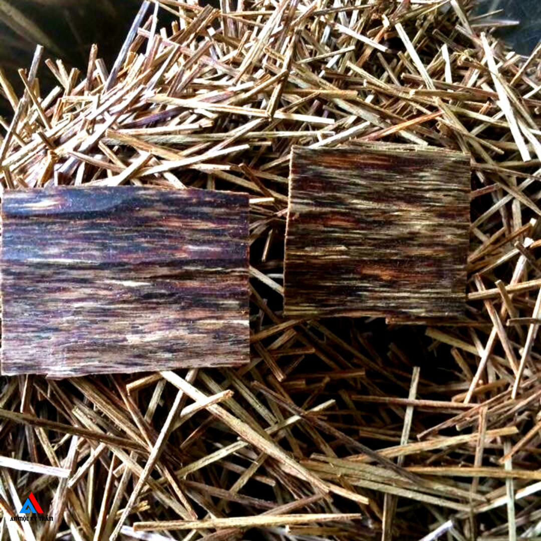 [HCM]Sánh Trầm Tăm và Sánh Trầm Nguyên Mảnh Nguyên Chất Dầu Nhiều