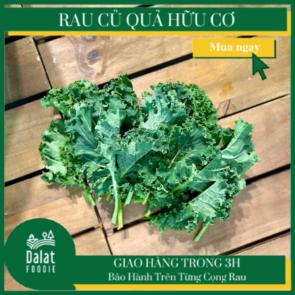 Cải Xoăn Kale hữu cơ 1Kg - [Giao hàng ngay tại TPHCM]
