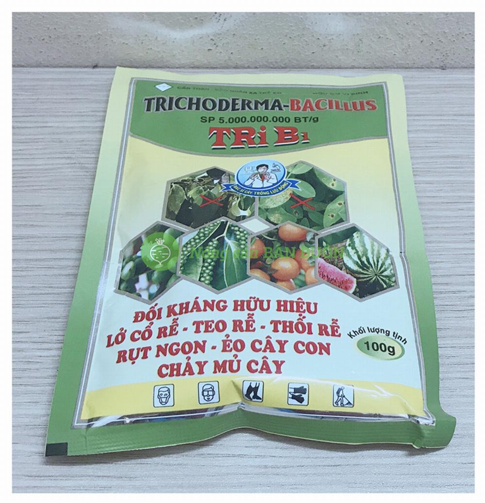Hữu Cơ Vi Sinh TRICHODERMA-BACILLUS SP 5.000.000.000 BT/g TRI B1, Đối Kháng Hữu Hiệu, Lở Cổ Rễ - Teo Rễ - Thối Rễ - Rụt Ngọn - Ẻo Cây Con - Chảy Mủ Cây, Khối Lượng: 100g