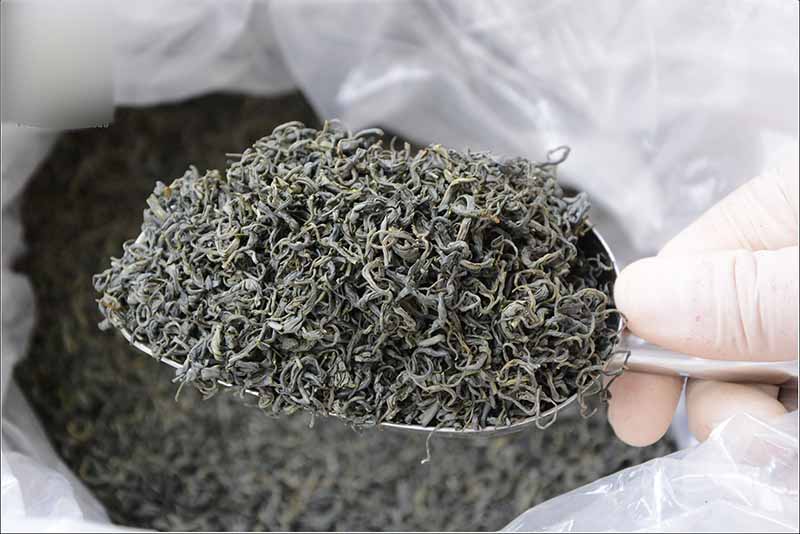 Chè Tân Cương Thái Nguyên (1KG)