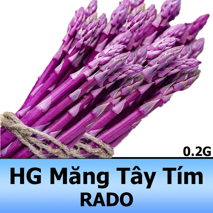 Hạt Giống Măng Tây Tím 0,2G Dễ Trồng, Nảy Mầm Tốt