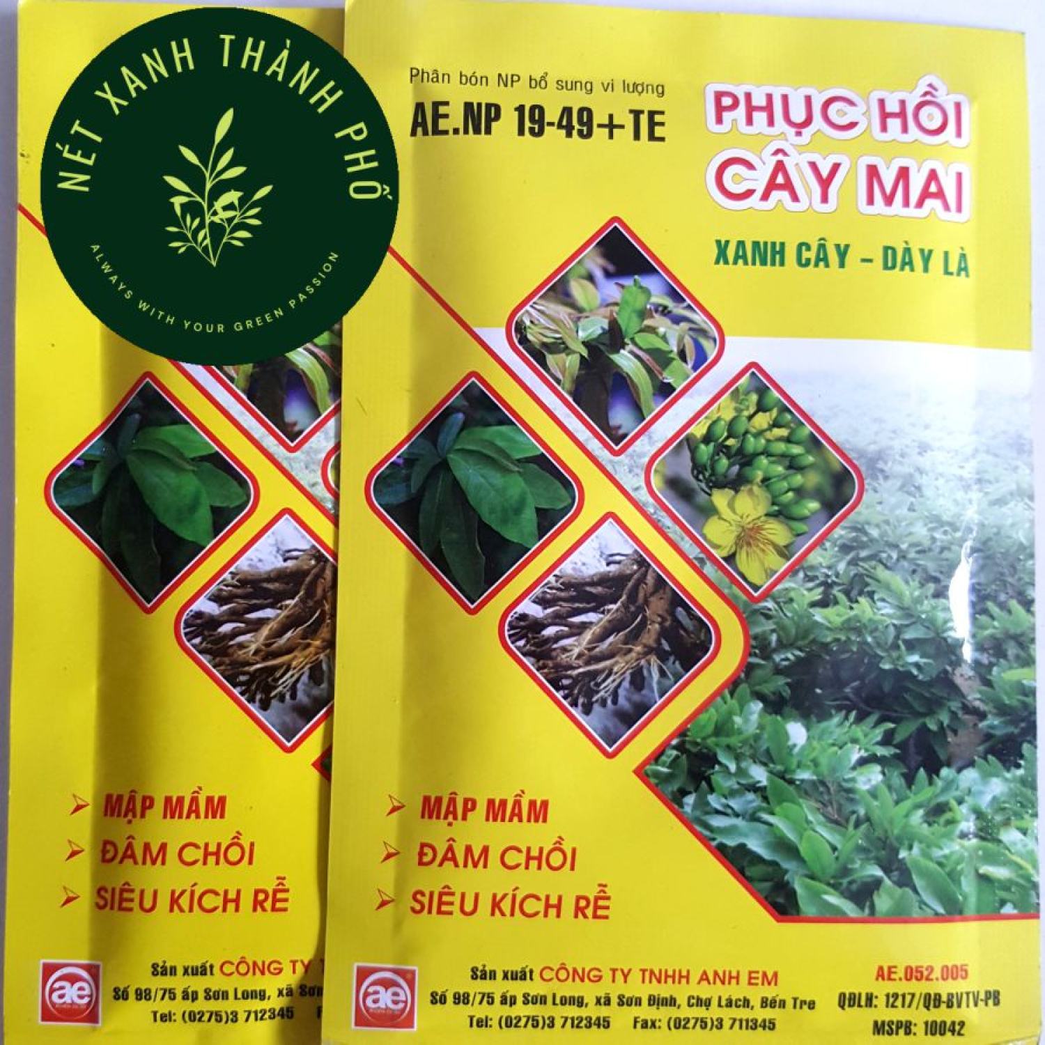 Phân bón phục hồi cây mai 50gr xanh cây dày lá, phục hồi cây suy, phân bón hoa mai