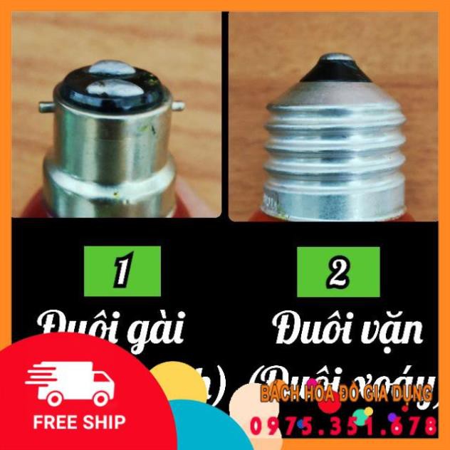 Bóng đèn sợi đốt tròn Đuôi gài & xoáy E27-Giadung24h