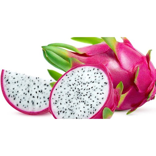 CÂY GIỐNG CÂY THANH LONG VỎ ĐỎ RUỘT TRẮNG MỌNG THỊT BÌNH THUẬN, QUẢ SỚM, SIÊU QUẢ , SIÊU NGỌT, SIÊU NĂNG SUẤT F1