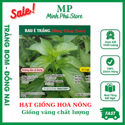 Rau É Trắng - 2g - Hạt Giống Hoá Nông Rau Củ Quả Trái Lá Chịu Nhiệt Trồng Quanh Năm Nảy Mầm Tốt Năng Suất Cao