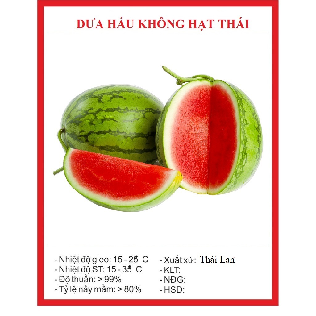 Hạt giống dưa hấu không hạt -gói 10 hạt