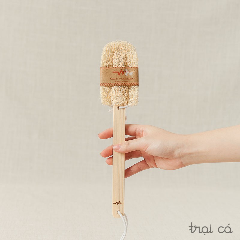 Cây rửa ly, Cây cọ xoong nồi xơ mướp cán gỗ