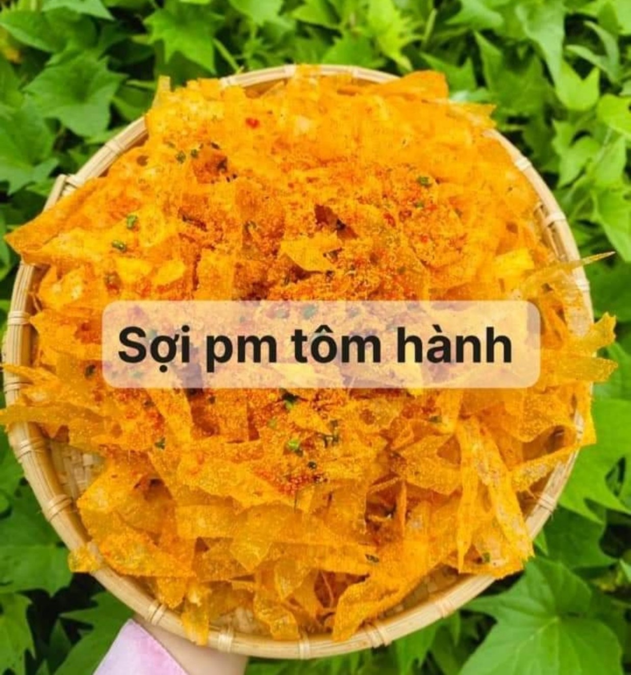 BÁNH TRÁNG SỢI PHÔ MAI